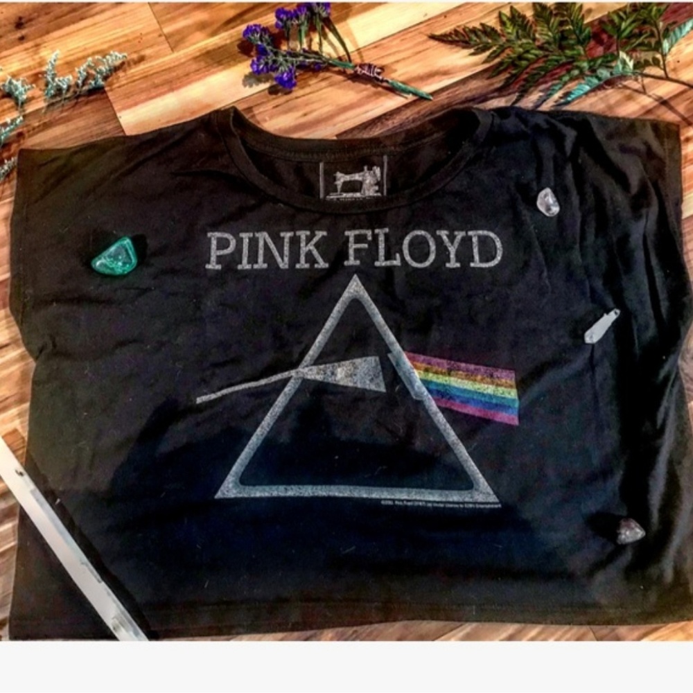 Pink floyd crop top